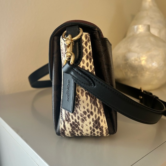 Coach Grace - Picture 3 of 11